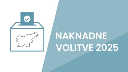 Naknadne volitve 2025