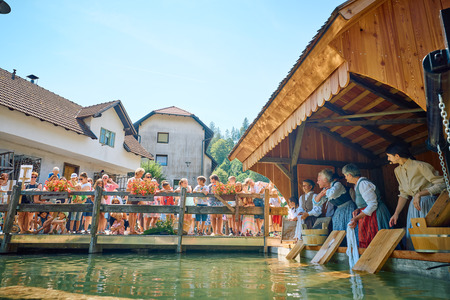 Perice na vaškem perišču (Foto: Janez Kotar)
